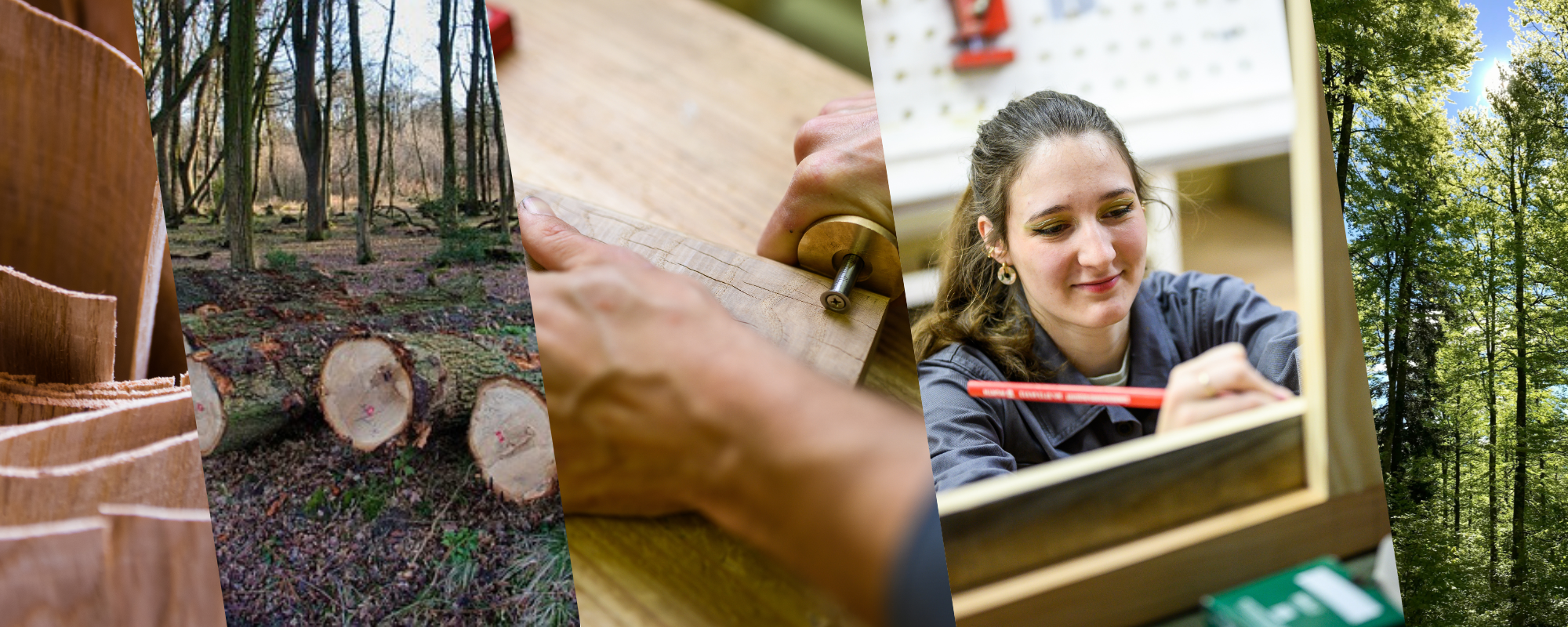 projet A2ForBois